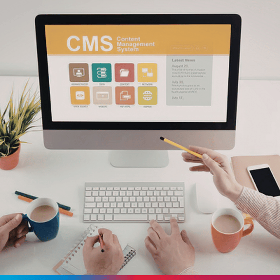 CMS Development Service Om Web Digital